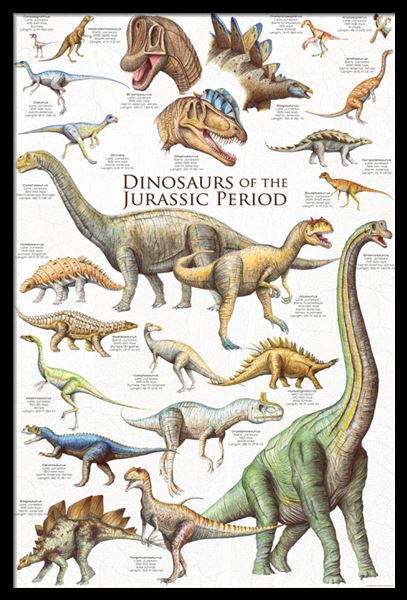 dinosaur chart