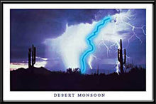 Load image into Gallery viewer, Desert Monsoon Neon Picture
