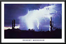 Load image into Gallery viewer, Desert Monsoon Neon Picture
