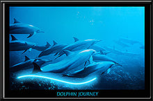 Load image into Gallery viewer, Dolphin Journey Neon Picture
