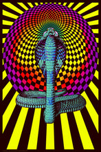 Load image into Gallery viewer, Spellbound Cobra Poster
