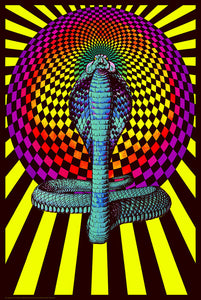 Spellbound Cobra Poster