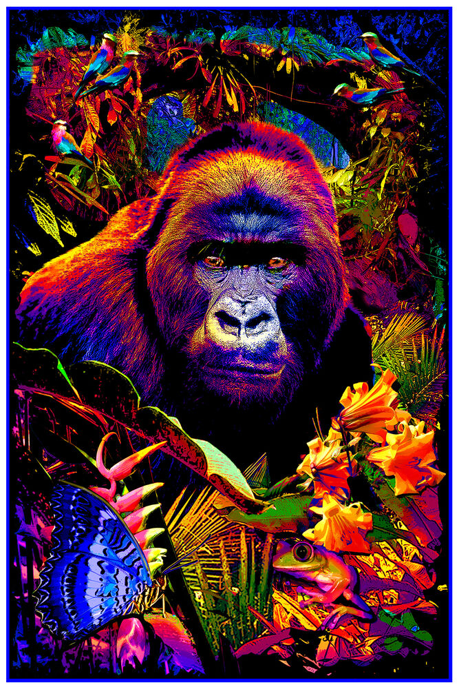 Gorilla Encounter - Non Flocked Blacklight Poster